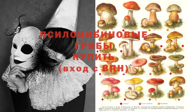 ГАЛЛЮЦИНОГЕННЫЕ ГРИБЫ Армянск